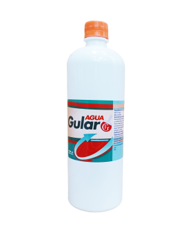 Agua Gular 500ml